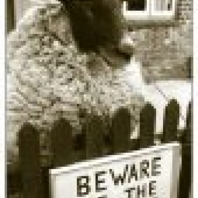 Ansichtkaart Beware of the Sheep. 