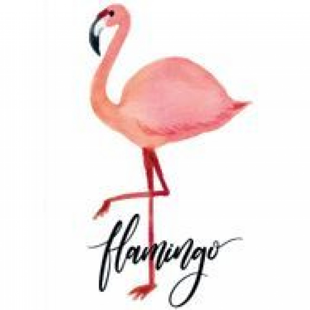 Ansichtkaart Flamingo. 