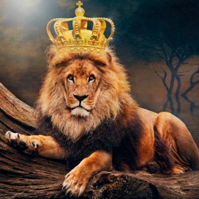 Ansichtkaart The Lion King.