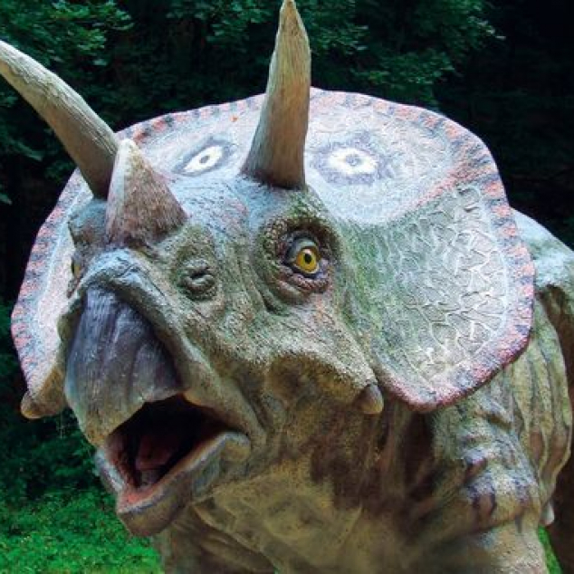 Ansichtkaart Triceratops. 