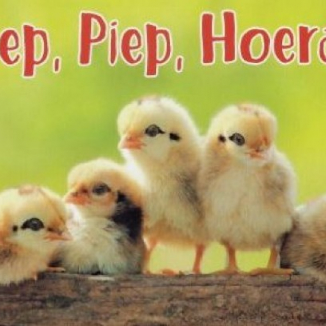 Wenskaart, Piep, Piep, Hoera!