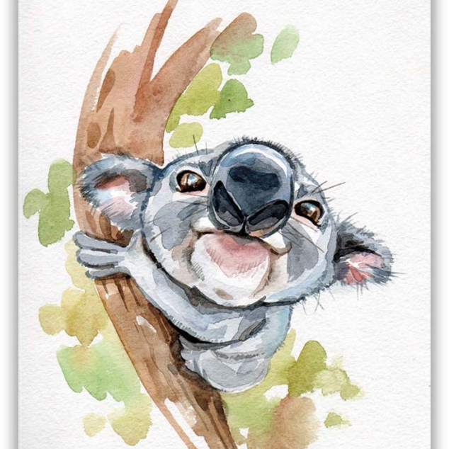 Ansichtkaart Nieuwsgierige Koala. 